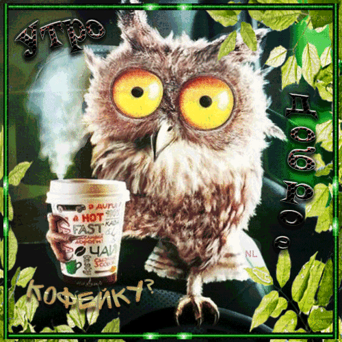 Утренний кофе от совы