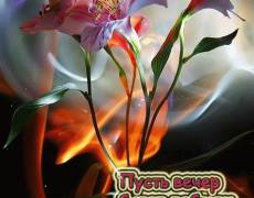 добрый вечер