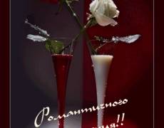 добрый  вечер