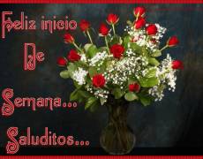 добрый вечер