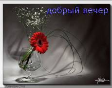 добрый вечер