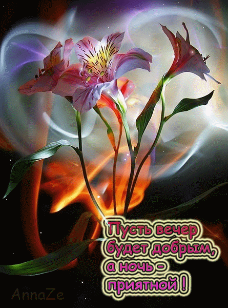 добрый вечер