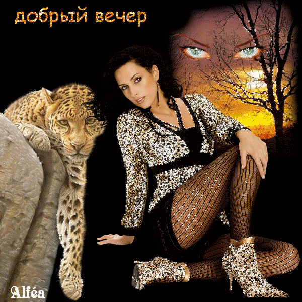 добрый вечер