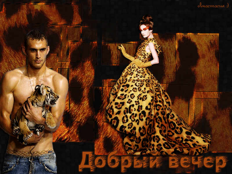 Добрый вечер