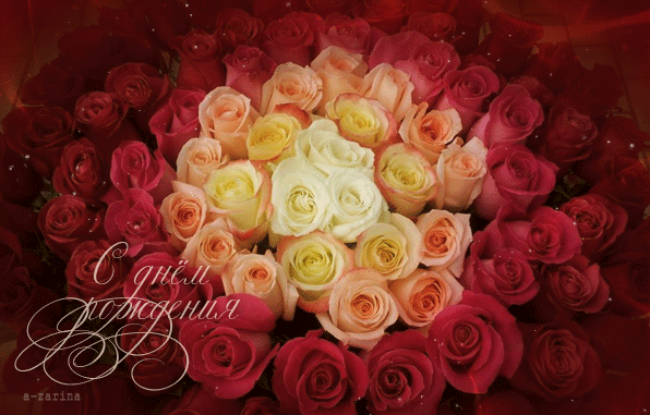 Фото желтые розы с днем рождения