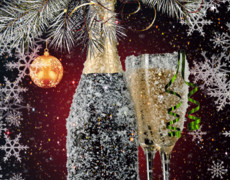 Бутылка шампанского и два бокала. С новым годом!