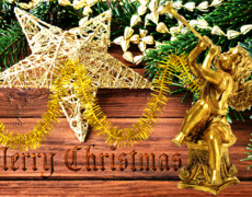 С Рождеством Христовым вас!